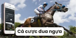 Tìm Hiểu Cá Cược Đua Ngựa BuBet: Bí Quyết Thắng Đậm Cho Tân Thủ